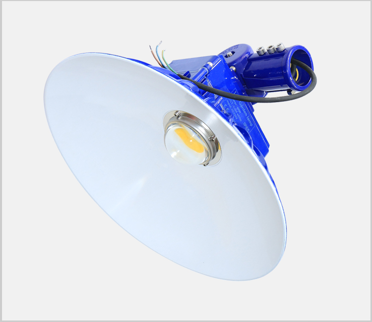 LED Garden Light LED Garden Light